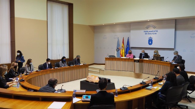 constitucion comision caixas